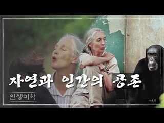 자연과 인간의 공존 [인생미학] 13회
