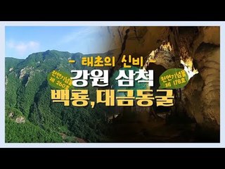 ‘태초의 신비’ 강원 삼척 백룡, 대금동굴 [한국의 자연] 2회