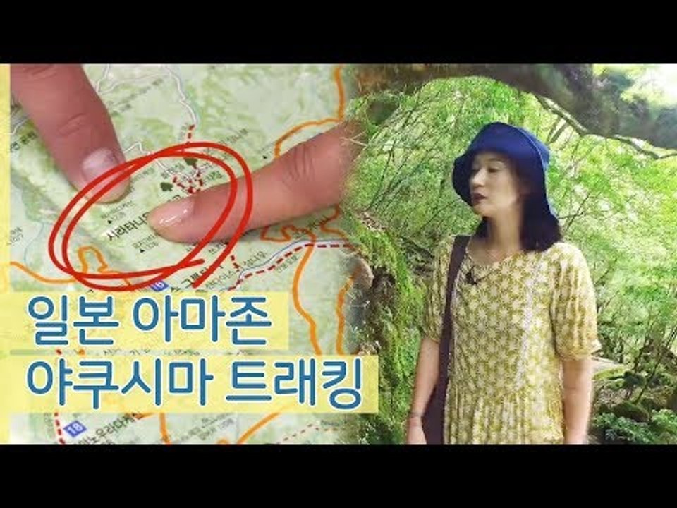 이영진, 일본 아마존 야쿠시마 트래킹 도전 [나 혼자 간다 여행] 2회