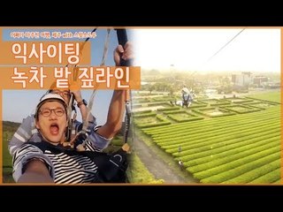 스윗소로우 영우&진환, 익사이팅 녹차 밭 짚라인 [어쩌다 마주친 여행-제주] 2회
