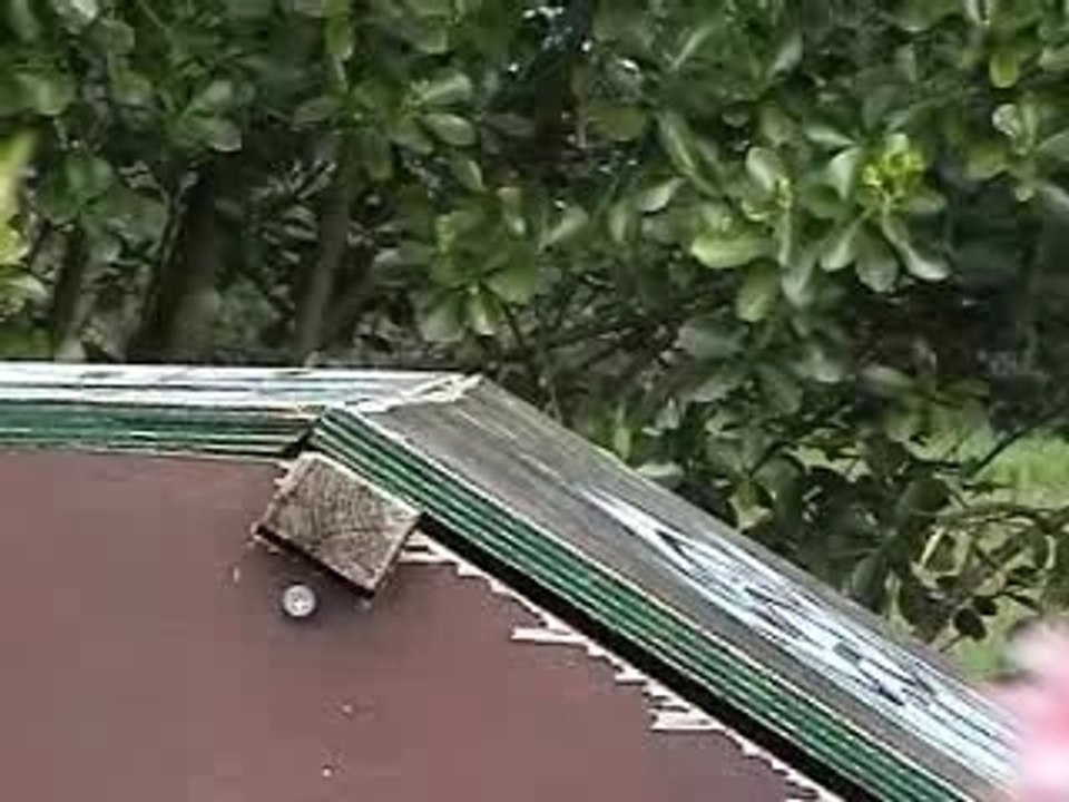 Skate