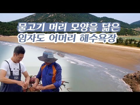 물고기 머리 모양을 닮은 임자도 어머리 해수욕장 [감성여행 섬 시즌3] 3회
