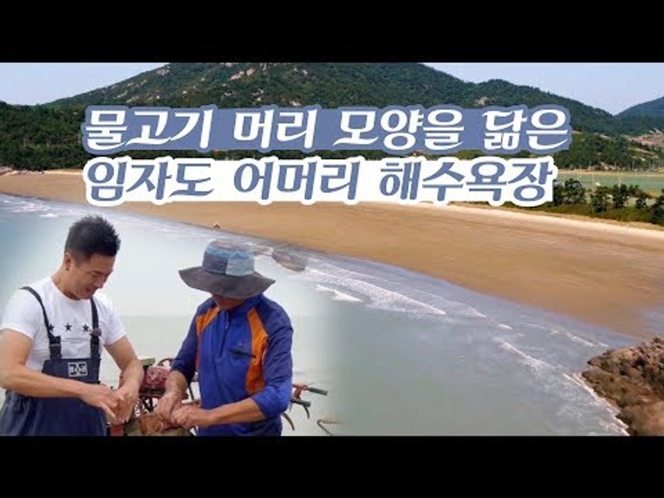 물고기 머리 모양을 닮은 임자도 어머리 해수욕장 [감성여행 섬 시즌3] 3회