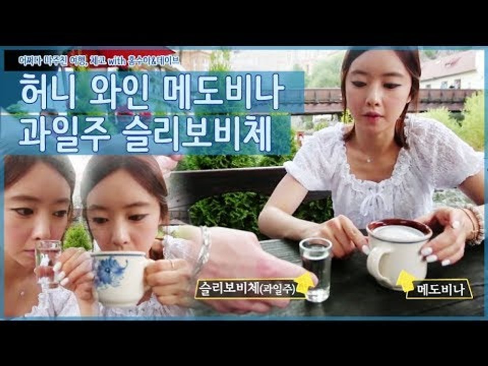 체코의 허니 와인 메도비나와 과일주 슬리보비체 [어쩌다 마주친 여행-체코] 3회