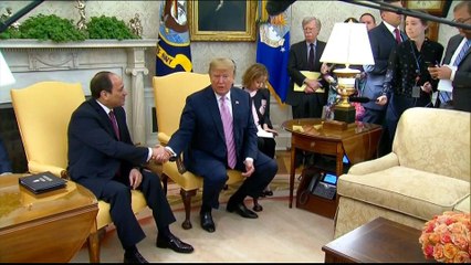 Trump praises Sisi as critics reiterate concern for human rights