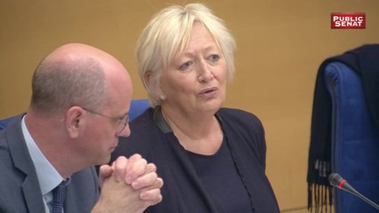 Réforme de l'école : l'audition de jean-michel blanquer - Les matins du Sénat (10/04/2019)