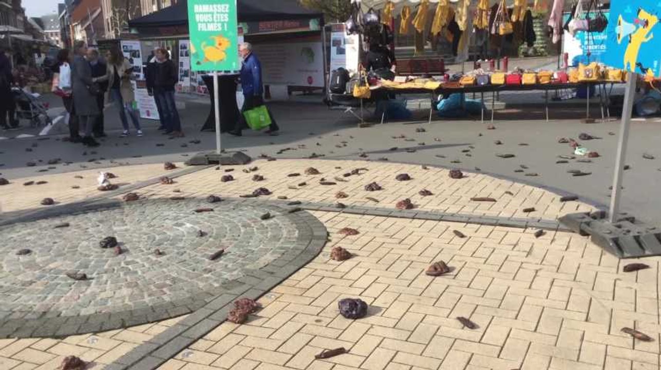 Une action choc pour lutter contre les déjections canines sur le marché de Wavre