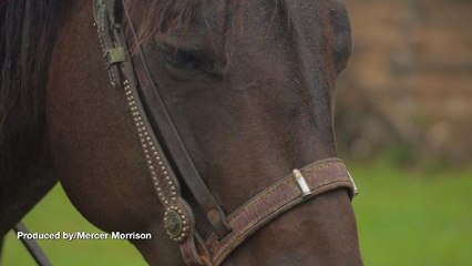 Caught On Camel-ra! Michigan Man Takes His Pet Camel To PetSmart!