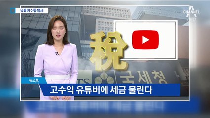 국세청, 유튜버 등 ‘신종 부자’ 176명 세무조사 착수