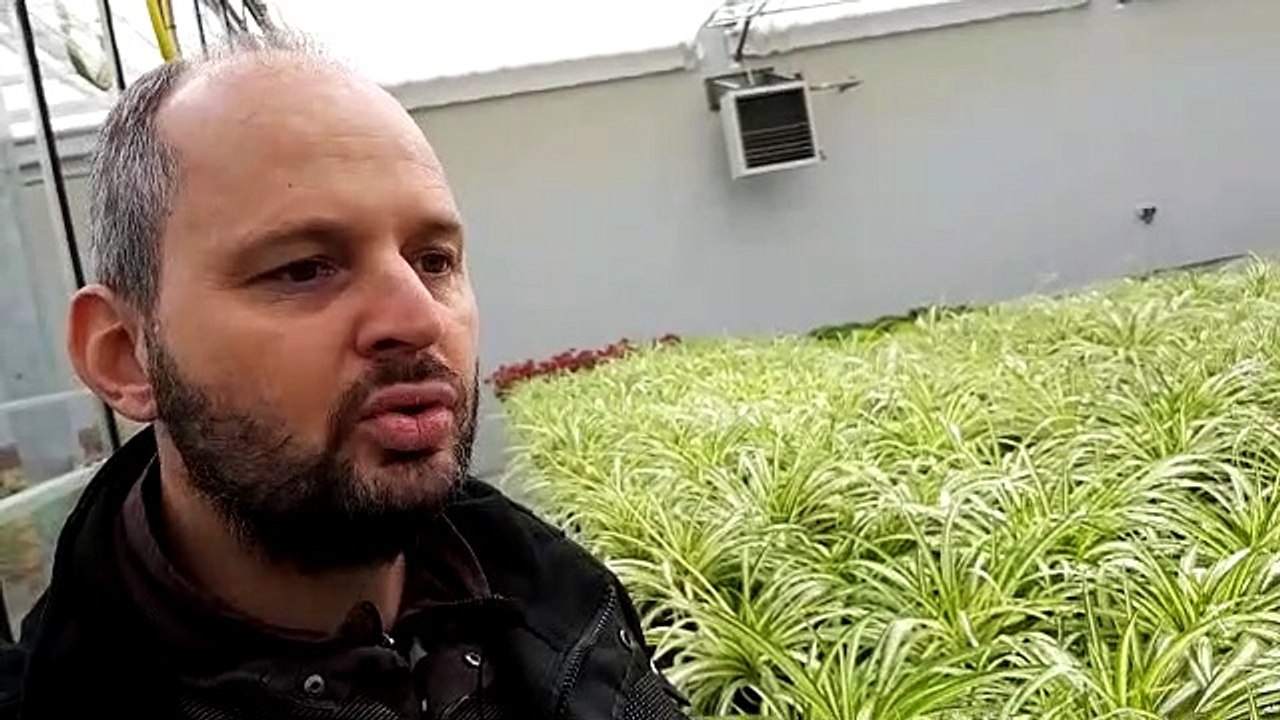 Comment jardiner sans se planter