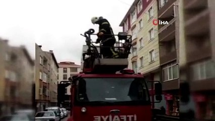 Çatıya sıkışan kargayı itfaiye ekipleri kurtardı