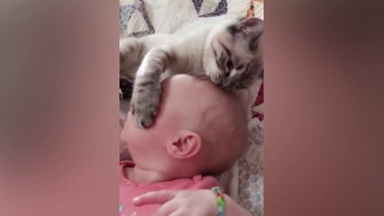 Baby and Cat Fun and Fails - Funny Baby Video