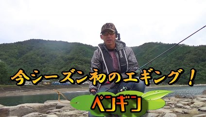 Fall Fukui Prefecture I went to Egging! King Egi Aoriika squid fishing　秋　福井県　エギングに行ってきたよ！エギ王　アオリイカ　イカ釣り