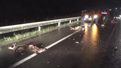 Sürüyü Yoldan Geçirmeye Çalışan Çobanın Feci Ölümü