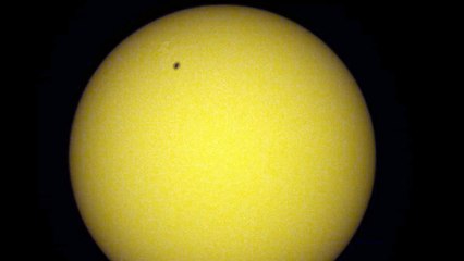 Sunspots Region 2738 (10 April 2019)