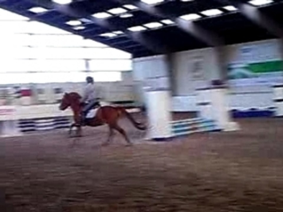 CLIP0061