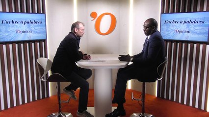 Ibrahim Yacouba (ex-ministre des Affaires étrangères du Niger): «Le Niger est dans l’oeil du cyclone des terroristes»