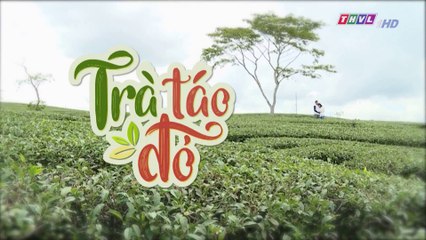 Trà táo đỏ - Tập 42 FullHD 10-04-2019