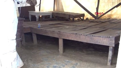 Aydın Besicilik Yapan Çift Taşkın Sularıyla Zor Anlar Yaşadı