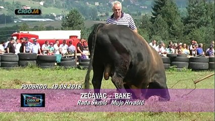 BAKE ZECAVAC PODBRDO 2018 KOD RADICA