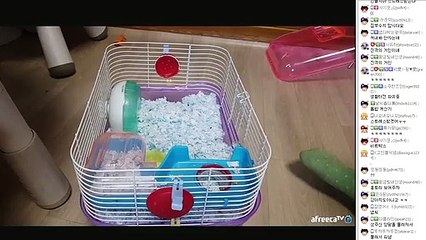 화천출장안마 -후불1ØØ%ョØ7Øa8782a38ØØ｛카톡FFFKKK｝화천전지역출장안마'출장마사지'화천출장안마'화천출장마사지'출장안마'출장마사지'후기∠≪