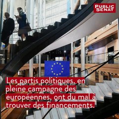 Financement de la campagne des européennes : le parcours du combattant ?