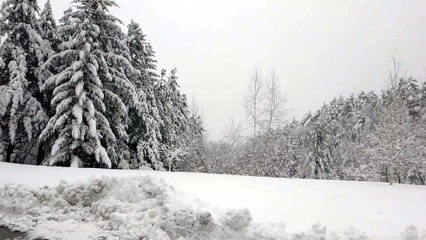 4월의 설국...강원 산간, 21년 만의 폭설 / YTN