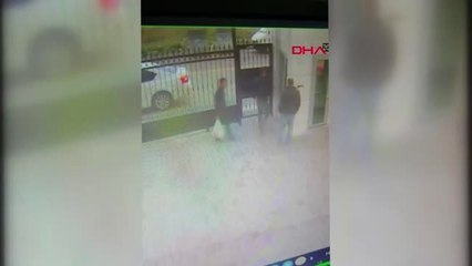 Ankara'da Telef Olan Köpek Sayısı 16'ya Çıktı, Beyaz Renkli Otomobil Aranıyor - Ek