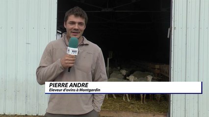 D!CI TV : les beaux jours arrivent, les bêtes rejoignent les pâturages !