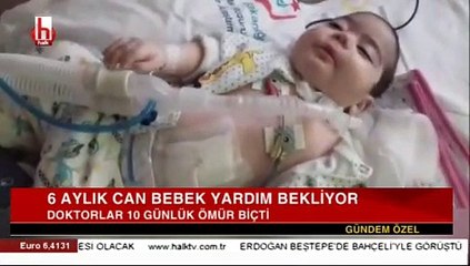 6 aylık Can Bebek yardım bekliyor