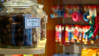 B.A.R.C New Dog Grooming Shop!