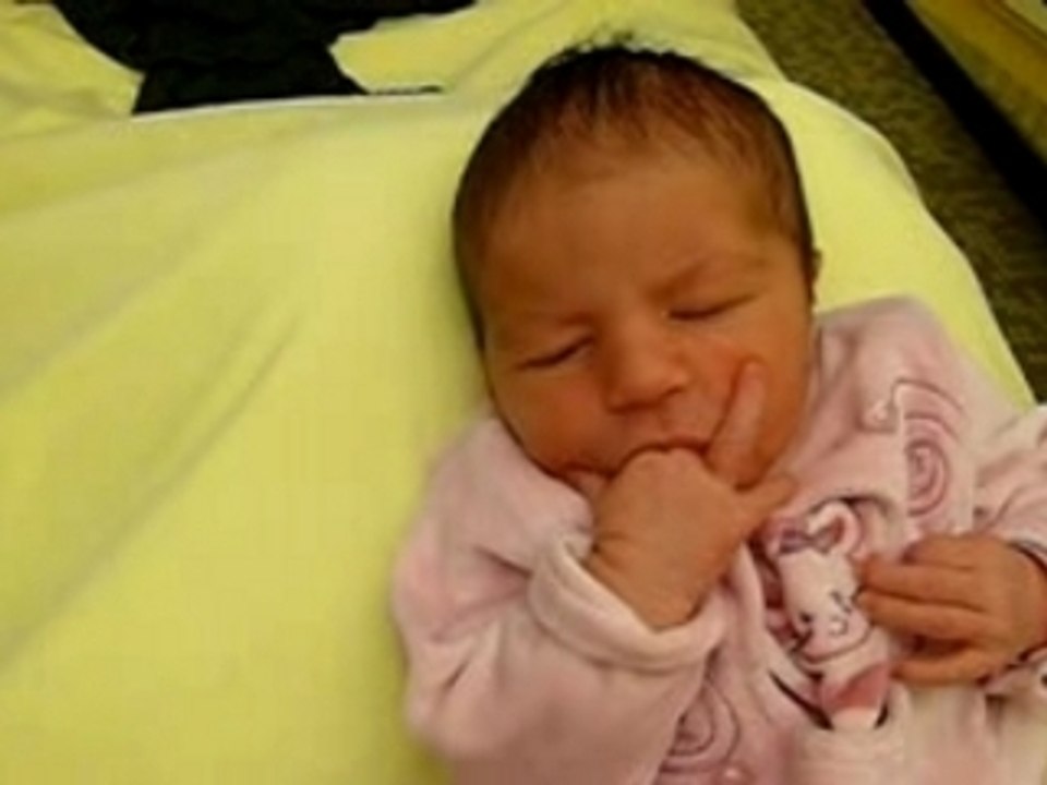 Video Zia 8.01.08 (2)