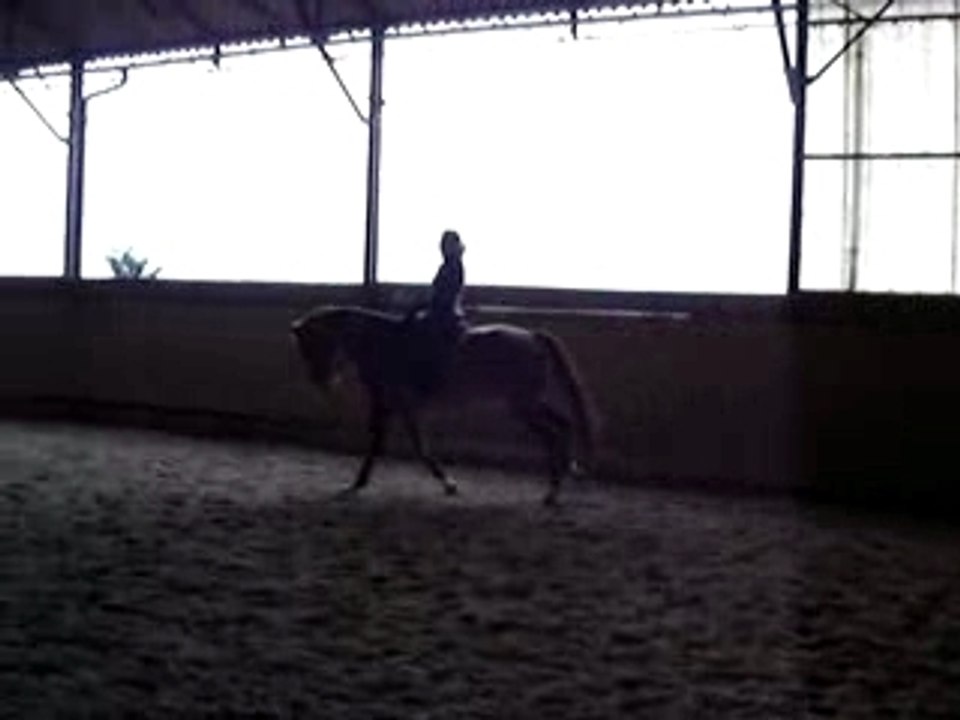 Galop gauche