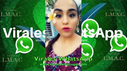 COMPILADO Ń12_videos Virales WhatsApp_2019