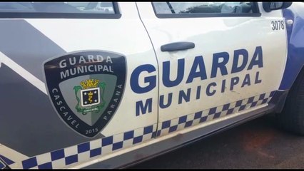 Homem é detido após rasgar medida protetiva que ex-esposa tinha contra ele