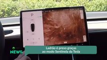 Ladrão é preso graças ao modo Sentinela da Tesla