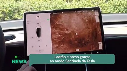 Ladrão é preso graças ao modo Sentinela da Tesla