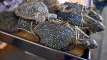 Bangkok Street Food - RAW CRAB MANGO SALAD (Blue Flower Crab Black Salted Crab)