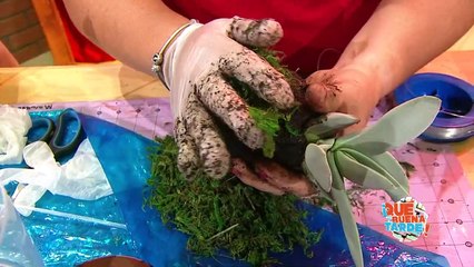 QBT Miércoles 10 Abril 2019