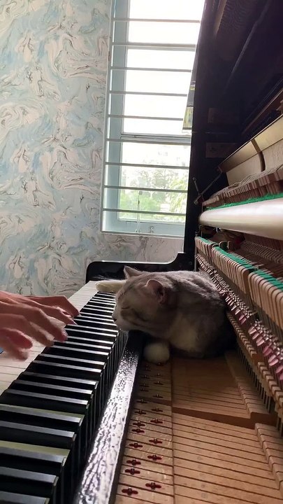 why it sometimes feels like you’re falling as you fall asleep