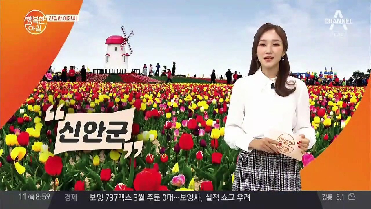 부산 낙동강 유채꽃 축제 14일까지 열려