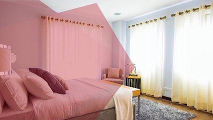 Trusted Roller Blinds Manufacturer in NZ