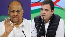 Lok Sabha elections 2019 : ప్రధాని రేసులో ఆయన లేరు : శరద్ పవార్ || Oneindia Telugu