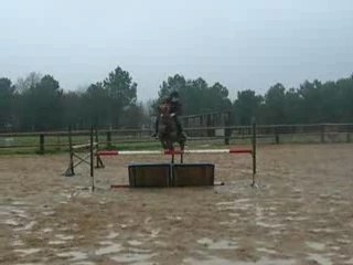 Gaelle et Dart