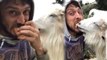 Rizeli Gencin Keçi ile Ekmek Kavgası Sosyal Medyada İlgi Çekti
