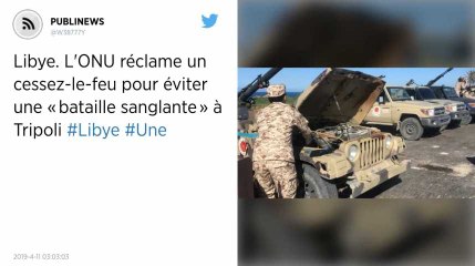 Libye. La France bloque un communiqué de l’UE condamnant le maréchal Haftar