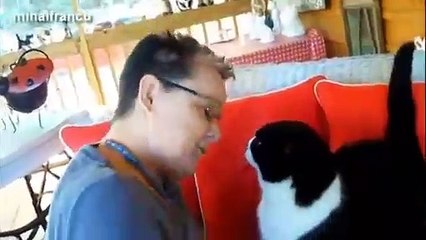 Need a bit of Cat Therapy? Lie back and let your Cat Groom You!