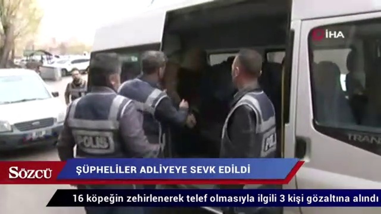 Ankara’da sokak köpeklerinin zehirlenmesi ile ilgili 3 kişi adliyeye sevk edildi