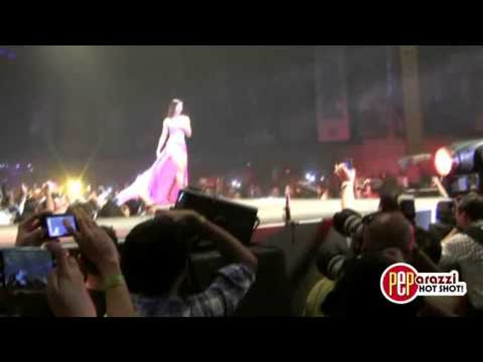 Alice Dixson survives wardrobe malfunction