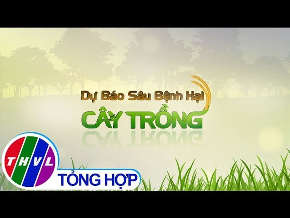 Dự báo sâu bệnh hại cây trồng (08/4/2019)